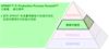 SPRINT™ 的 Productive Process Pyramid™ 主動層： 棱形應用