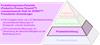 Produktionsprozess-Pyramide (Productive Process Pyramid™) vorausschauende Stufe für SPRINT™: Prismatische Anwendungen