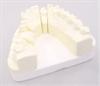 Master cast of jaw