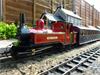 North Wales NGR Single Fairlie Moel Tryfan train model