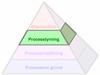 The Productive Process Pyramid™ - Processtyrning