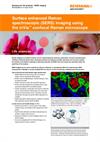 Application note:  Surface enhanced Raman spectroscopy (SERS) imaging using the inVia confocal Raman microscope