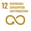 UN Sustainable Development Goal 12 - Responsible Consumption and Production - inverted