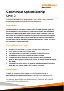 Flyer:  Commercial Apprenticeship Leaflet 2021
