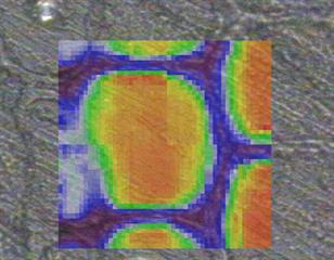Rapid l.ine forcus image