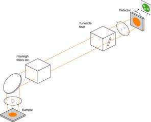 True Raman imaging schematic