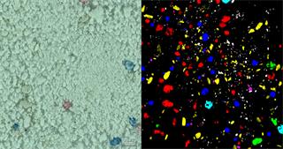 White light and Raman images of washing powder
